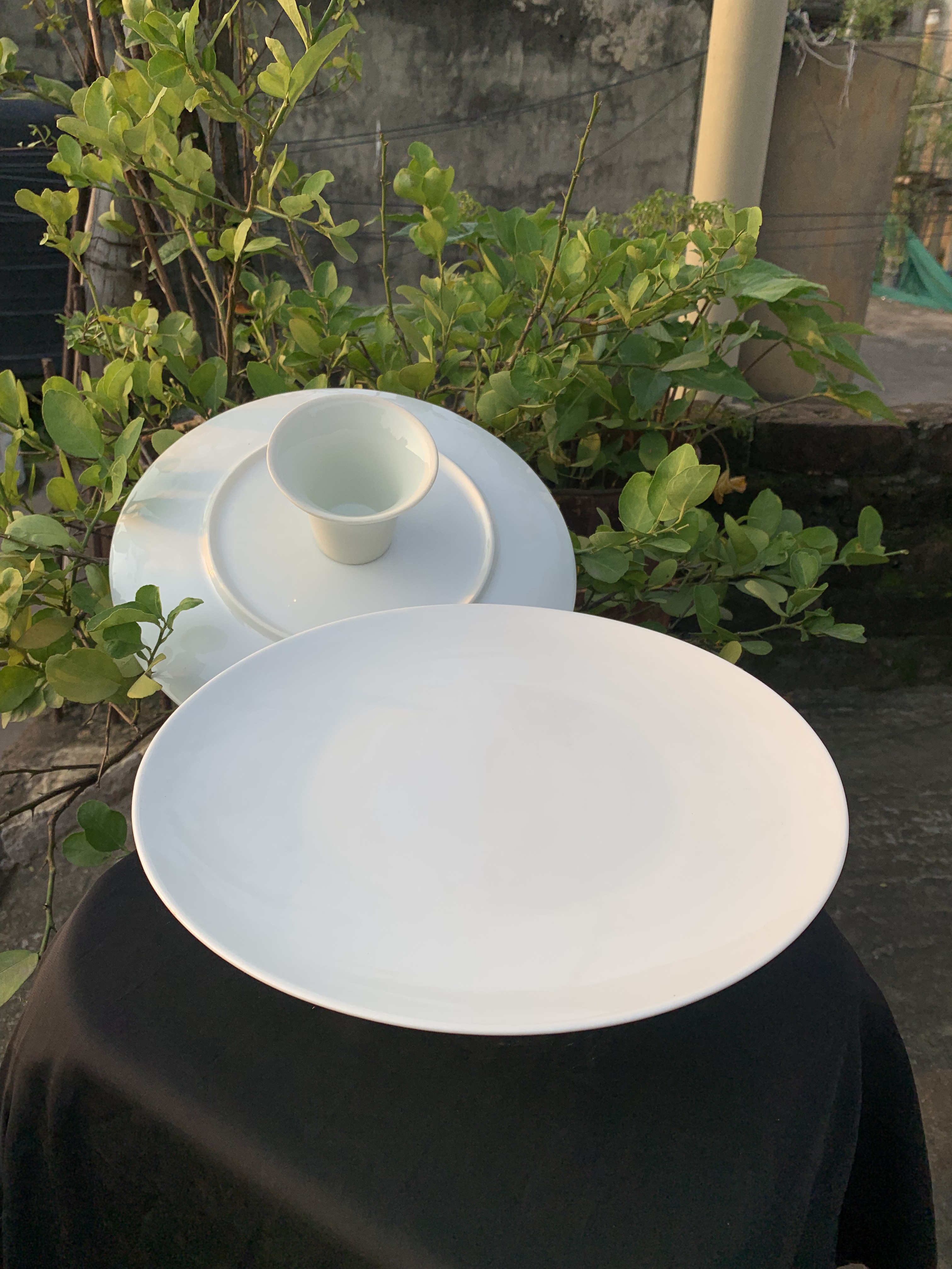 Single White color Ceramic Birthday Cake Stand Model-6